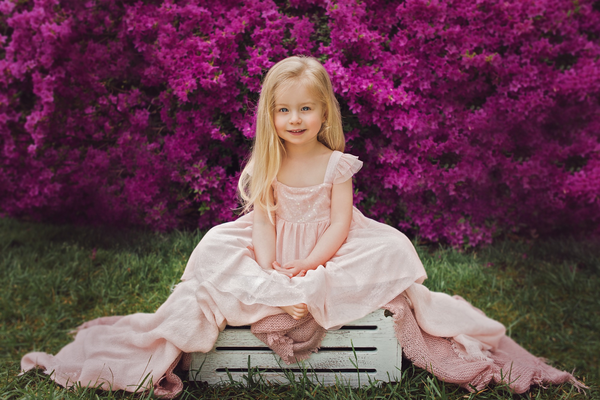 Spring garden photography